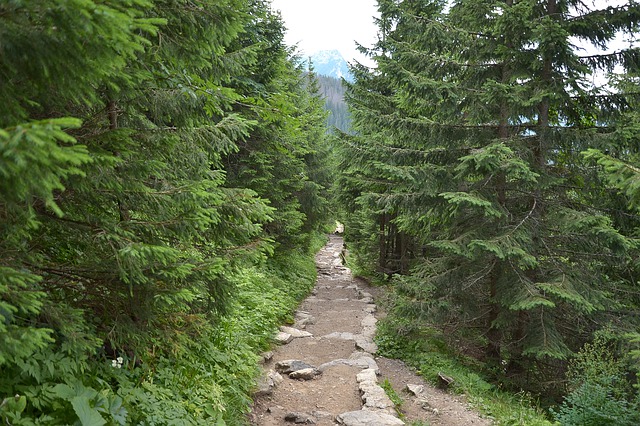 Zakopane i jego atuty turystyczne